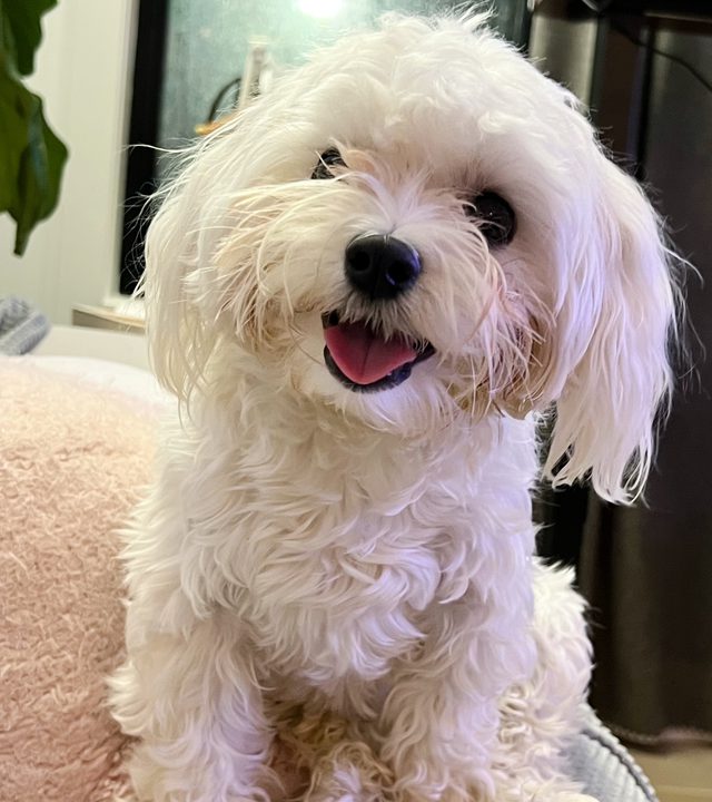 Nori tilting her head and smiling